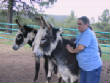 Burros/BurrosMay08036.JPG