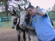 Burros/BurrosMay08037.JPG